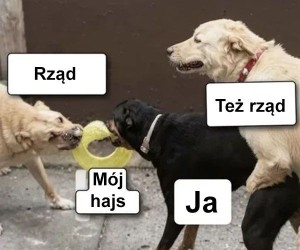 Zażarta walka