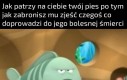 Przepraszam mała, nie mogę ci pozwolić