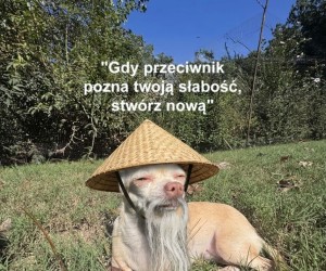 Sztuka Wojny