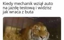 Jak to eksplodował zaraz za zakrętem