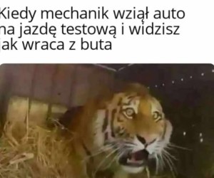 Jak to eksplodował zaraz za zakrętem