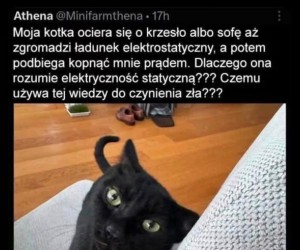Ona tylko tak się bawi