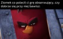 I jak wrażenia?