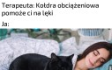 Faktycznie