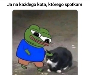 Witaj, mały przyjacielu