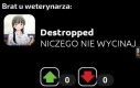 Rel