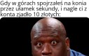 Cwańsi ci górale