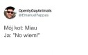 Kociarze zrozumieją