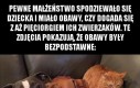 Dzieciak i zwierzęta