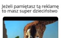 Legendy pamiętają