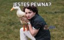 Jesteś pewna?