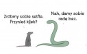 Selfie z wężem