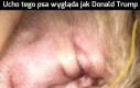 Porozumienie z Iranem jest już blisko