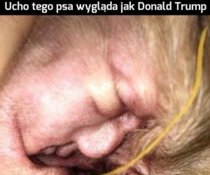 Porozumienie z Iranem jest już blisko