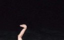 Potwór z Loch Ness - zdjęcie utajnione