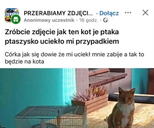 Lekki przypał