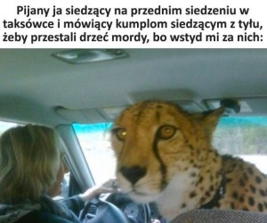Nie róbcie mi siarki