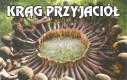 Krąg przyjaciół