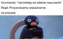 Nie dogodzisz