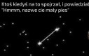 Tytuł
