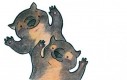 Wombaty to bardzo szczęśliwe stworzenia...
