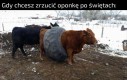 Postanowienia noworoczne