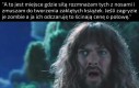 Nieeee Stefanie! Prywatyzacja Villagerów nie powinna znaleźć się w tolerancyjnym filmie WB