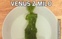 Venus z Milo