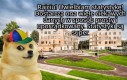 O co wam chodzi?!