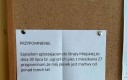 Piesek z zaświatów