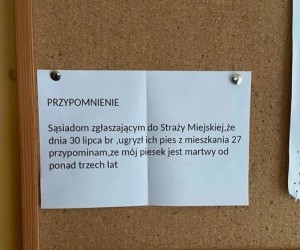 Piesek z zaświatów