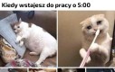 I tak do emerytury
