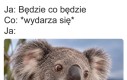 Tego się nie spodziewałem