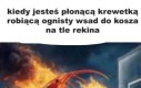 Innymi słowy niedziela