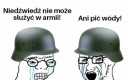 Piwowar