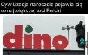 Wreszcie