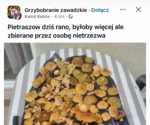 To i tak nieźle