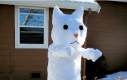 Długi kot ze śniegu