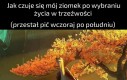 Nie wytrzyma do wieczora