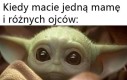To były szalone wakacje