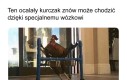 Zawracanie głowy czy wiara w ludzkość przywrócona?