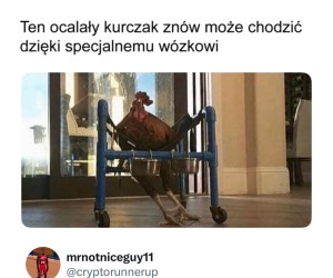 Zawracanie głowy czy wiara w ludzkość przywrócona?