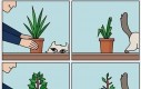 Kotek i roślinki
