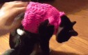 Sweterek popsuł mi kota