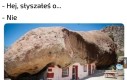 Życie pod kamieniem