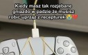 Niegrzeczny gracz
