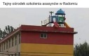 Przetrwają najlepsi