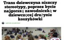 Zmyślony nagłówek bez polskich znaków jest bardziej wiarygodny