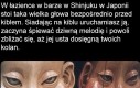 Japonia i tyle w temacie