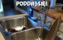 Poddaj się!